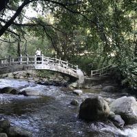 評論圖片 9