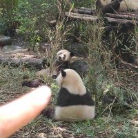 評論圖片 3