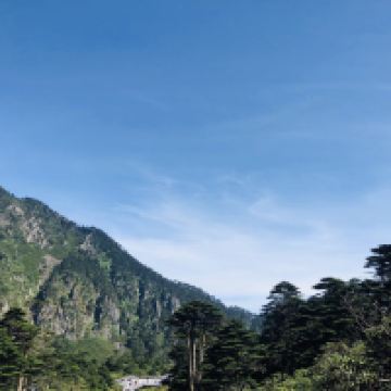 評論圖片 2