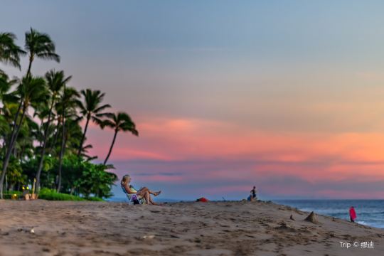 グリーンフィーを支払わないとどうなる？