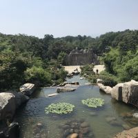 評論圖片 8