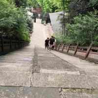 評論圖片 5
