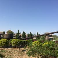 評論圖片 5