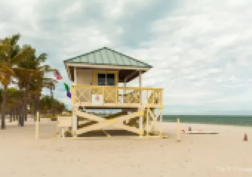 Everything you need to know about Miami zoo