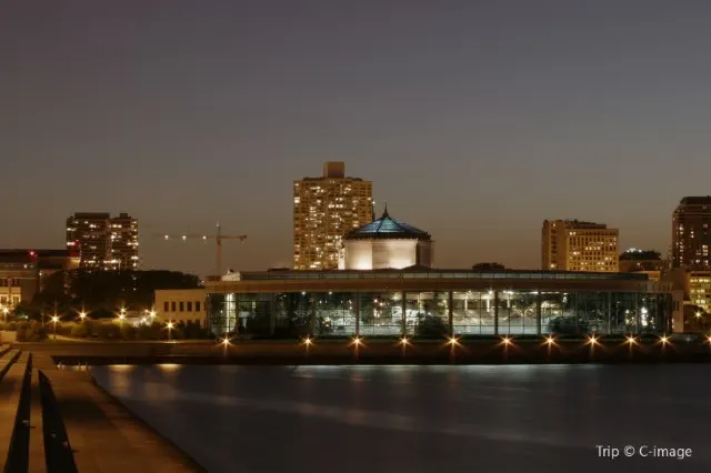 10 Tips to Help You Plan a Fantastic Trip to Shedd Aquarium, Chicago