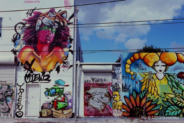 What to expect on your visit to Wynwood Walls Miami