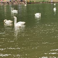 評論圖片 1