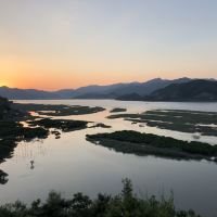 評論圖片 1
