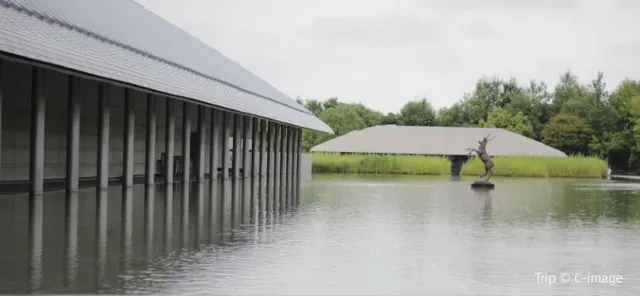 8 Meseums Worth Visiting in Miami