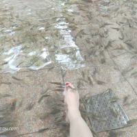 評論圖片 3