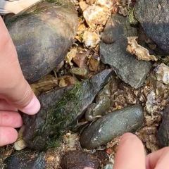 常家活海鲜小吃(仅一家无分店) User Photo
