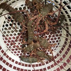 南蚝小贝海鲜特色餐厅(南澳岛店) User Photo