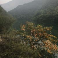 評論圖片 6