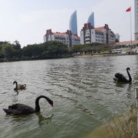 評論圖片 4