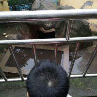評論圖片 4