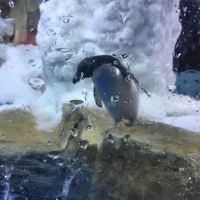 評論圖片 5