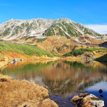 秋風起 擁有日本最長賞楓期的立山黑部點玩先至最 楓 喜 遊記攻略 Trip Com遊玩攻略