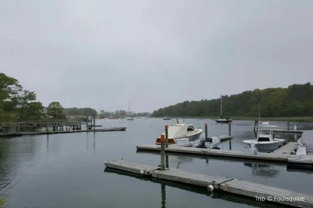 10 Awesome Domestic Coast Oct 2025