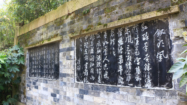 Phoenix Hairpin Stele