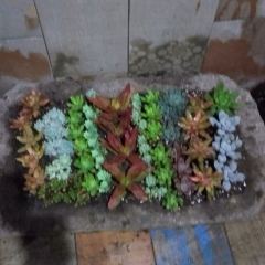 Suiyuejinghaoxiuxianshanzhuang User Photo