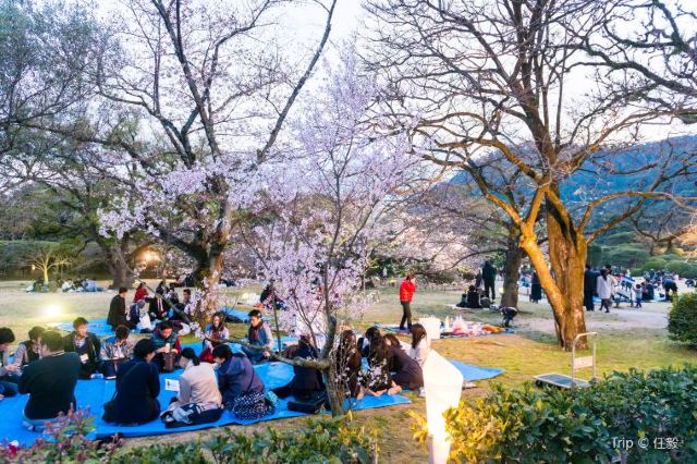高松景點 高松精選人氣景點top10遊記攻略 Trip Com遊玩攻略 高松景點 高松精選人氣景點top10遊記攻略 Trip Com遊玩攻略