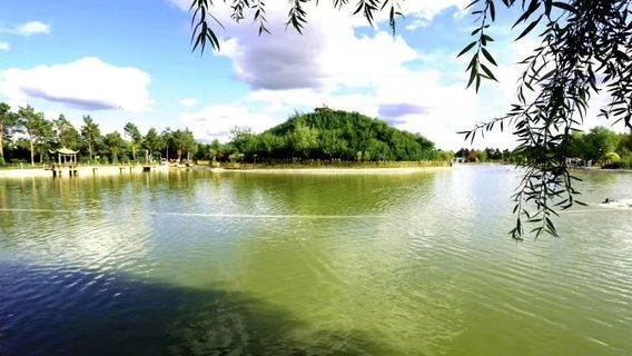 Yi'an Botanical Garden