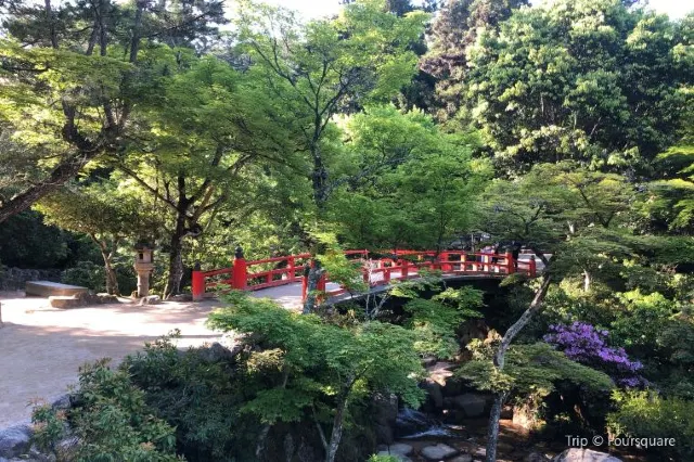【宮島自由行】宮島精選玩法及附近美食大推介