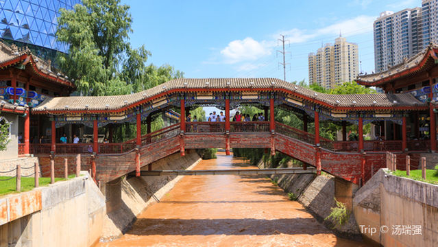 Выставка водяных автомобилей