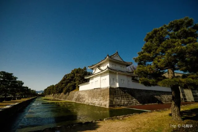 Nijo Castle: Complete guide to Nijo Castle Kyoto 2024