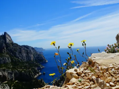 Going Into The Sea by Day, Romantic France Can Also Give You A Shot of Adrenaline