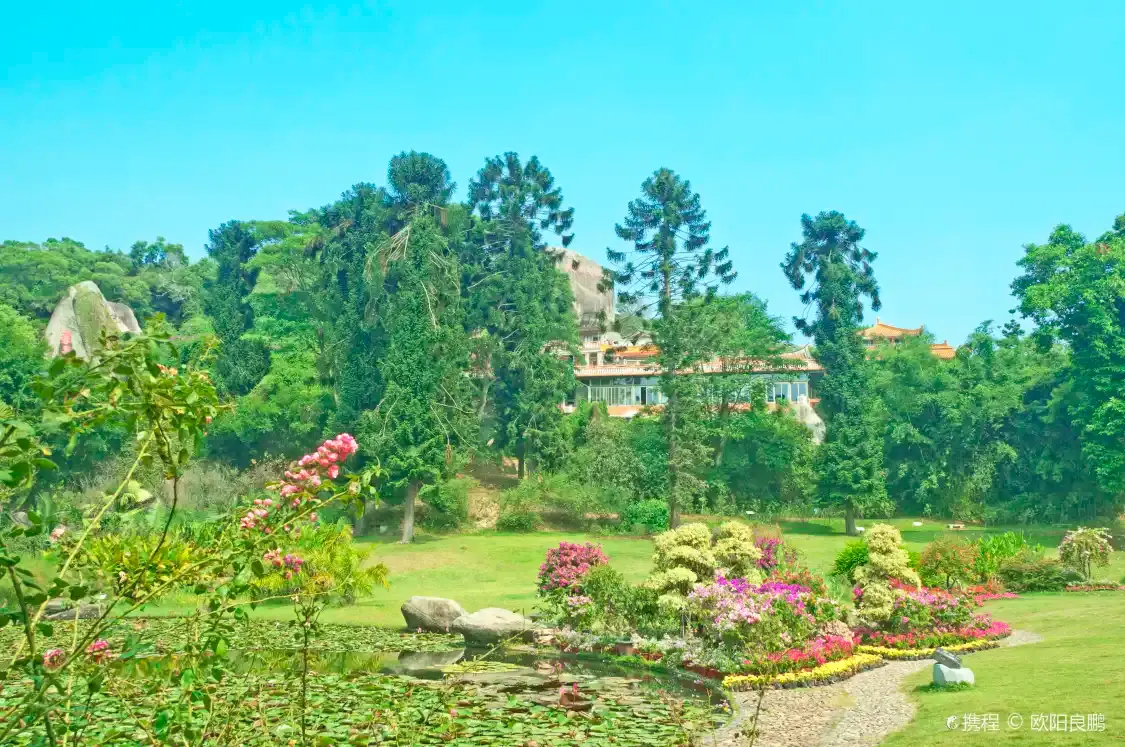 Hotels near Rose Garden