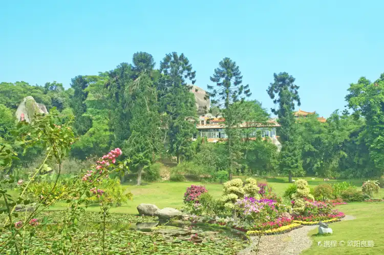 Hotels near Rose Garden