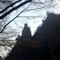 評論圖片 4