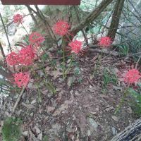評論圖片 5