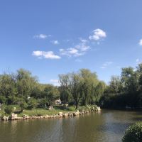 評論圖片 2