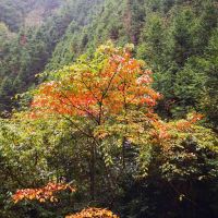 評論圖片 5