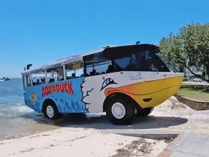 黃金海岸天堂大水鴨