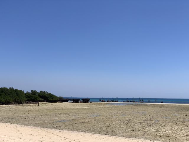 Mbudya island