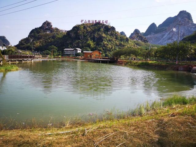 Wucai Tuanyuan Farmers Festival