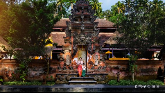Ubud, Bali: Recorrido de un día por el Palacio de Ubud, Tirta Empul, terrazas de arroz y el Bosque de Monos