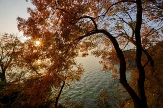 Popular Places to enjoy East China's Autumn Scenery