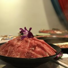 东灶鱼头火锅(凤城食都店) User Photo