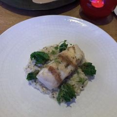 Portfolio restaurant 여행 사진
