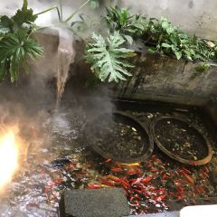A YI SHI TANG 여행 사진