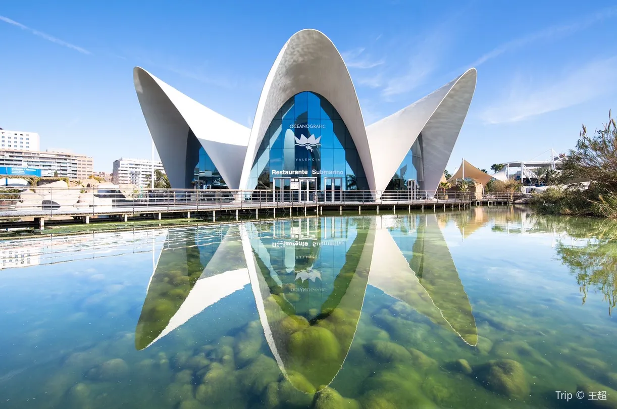 4_City of Arts and Sciences