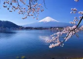 【河口湖一日遊 】一生必去之富士山河口湖經典一日遊