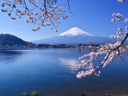 【河口湖一日遊 】一生必去之富士山河口湖經典一日遊