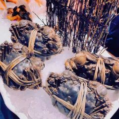 Setsugekka User Photo