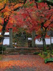 Jōju-ji Temple