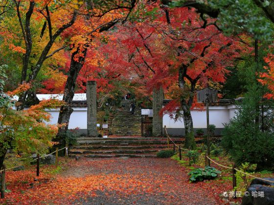 浄住寺